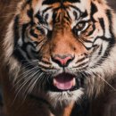 하늘온누리약국 이미지