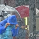 소나기 이미지