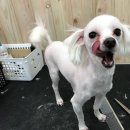 프렌드샾 이미지