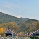 단델리온풀빌라 이미지