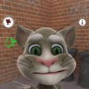 요즘 Talking Tom 에 빠졌습니다. 이미지