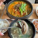 포항 한식 맛집 &lt;천복집 흑염소 포항효자점&gt;