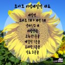 토마토ll