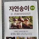 송이식당 | 양양 감나무식당 웨이팅부터 송이황태국밥까지 내돈내산 솔직후기