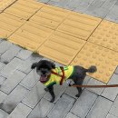 텐퍼센트커피 고양지축점 이미지