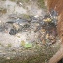 경서중학교 이미지