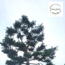 억만농장 이미지