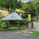 자연인의집 | 리솜 맛집 찾는다면? 제천 한정식 산아래 본점 │자연인 산아래 정식 총 정리(기본 상차림, 메인요리...