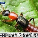 개미주유소 이미지