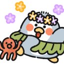 카페,정스