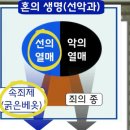 나무와창