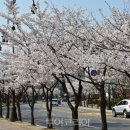 월드컵경기장 주변 뒷길 이미지