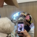 초코앤멜로우 이미지