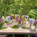 국립칠곡숲체원 이미지