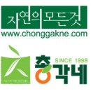 총각네야채청과 이미지