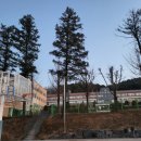 도수길23번길 이미지