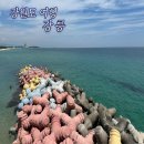 [강원도여행]강릉여행 강릉중앙시장 사근진해변 346커피스토리 이모네생선찜 돌체테리아 주문진해수욕장...