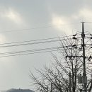 지평목욕탕 이미지