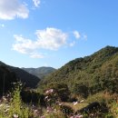 월리사 사적비 이미지