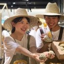 농업회사법인 창조 주식회사 이미지