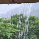 [2025년 상반기]수채화 이미지