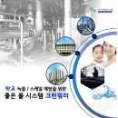 크린에코시스템