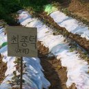 상태농장 이미지