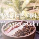 발리스파테라스5 이미지