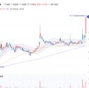 신화종합기술 이미지