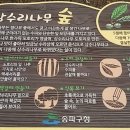 오금공원 유아숲체험원 이미지