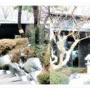 띠에라 이미지