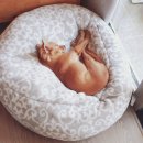 끼리끼리 이미지