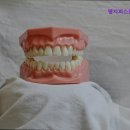 명지퍼스트치과의원 이미지