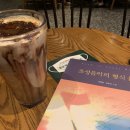 극 I의 축제 후기
