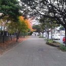 GS25 제주함덕점 이미지