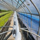 수막 목장 이미지