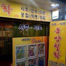 7236 | 대전 은행동 사주 "동양사주타로"