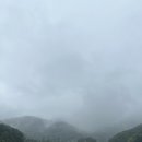 장통밥상 이미지