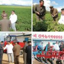 중흥농장 이미지