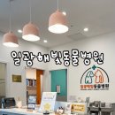 일광해빛동물병원 이미지