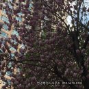 우리나라 행정사 이미지