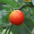 추억카페 이미지