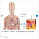 [일반] MRNA백신에 포함된( 뇌 컴퓨터 인터페이스 특허내용) 이미지