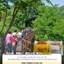 (주)포유트래블 이미지