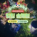 자연숲 | 광주 아이와 가볼만한 곳, 숲에서 배우는 진짜 자연수업 깨비의숲마을 후기