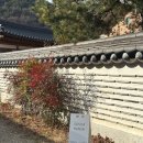 공주 제민천 한옥 숙소 &#39;소소아한옥&#39; 후기
