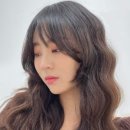 더 데이지 이미지