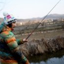 바나나 149 유니온포스 32레쉬드 판매 240mm 이미지