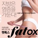 화정펫
