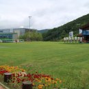 형진농장 | 정선 하이원리조트 후기_곤돌라, 느린 우체국, 동물농장